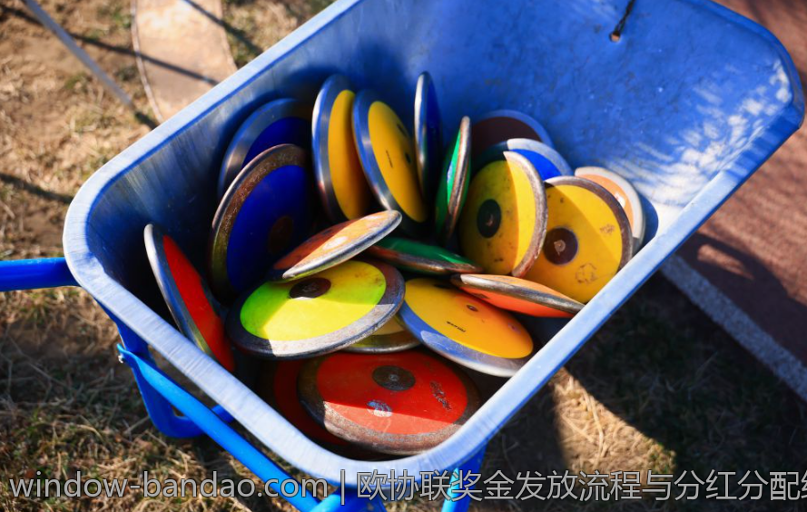 欧协联奖金发放流程与分红分配细则说明